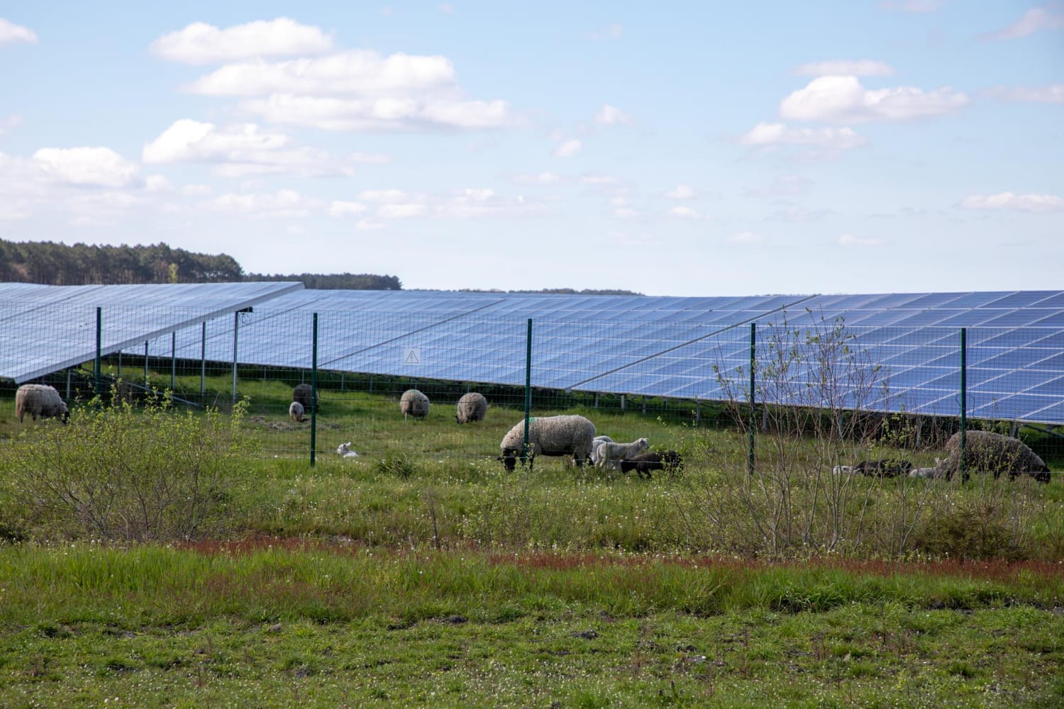 Valoriser un terrain agricole grâce à l’agrivoltaïsme